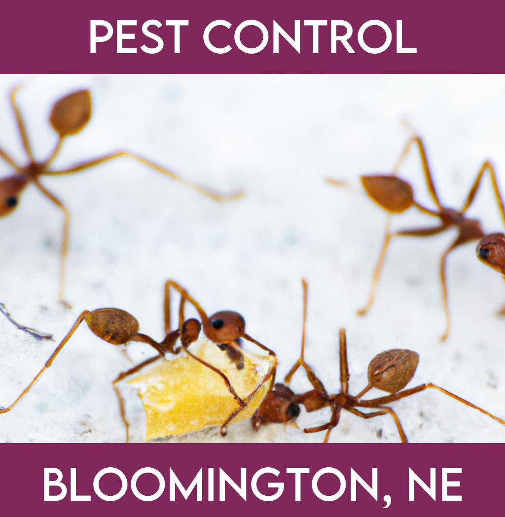 pest control in Bloomington Nebraska