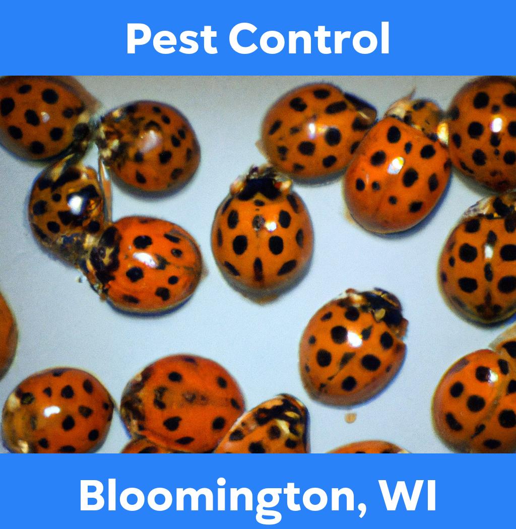 pest control in Bloomington Wisconsin