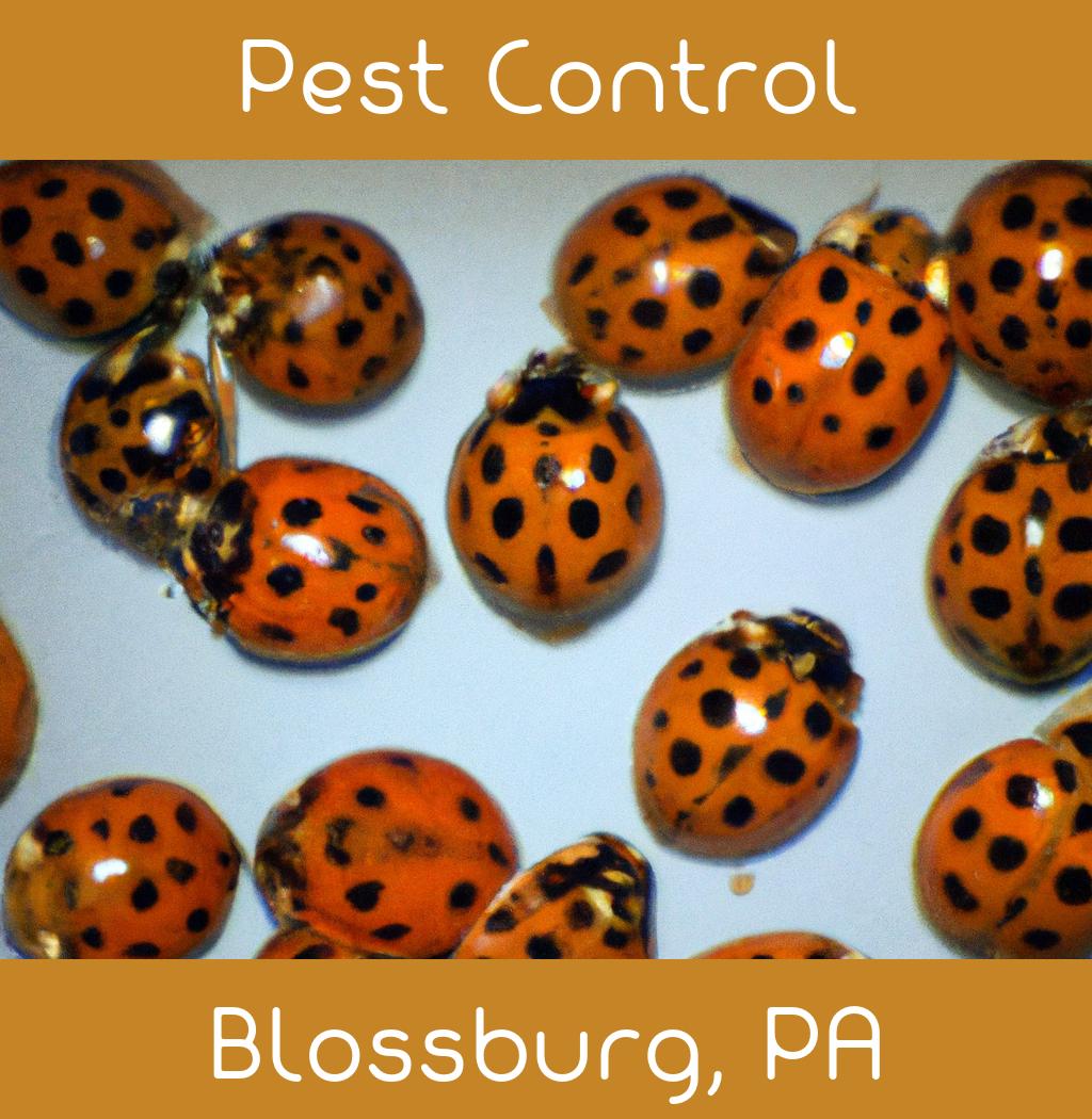 pest control in Blossburg Pennsylvania