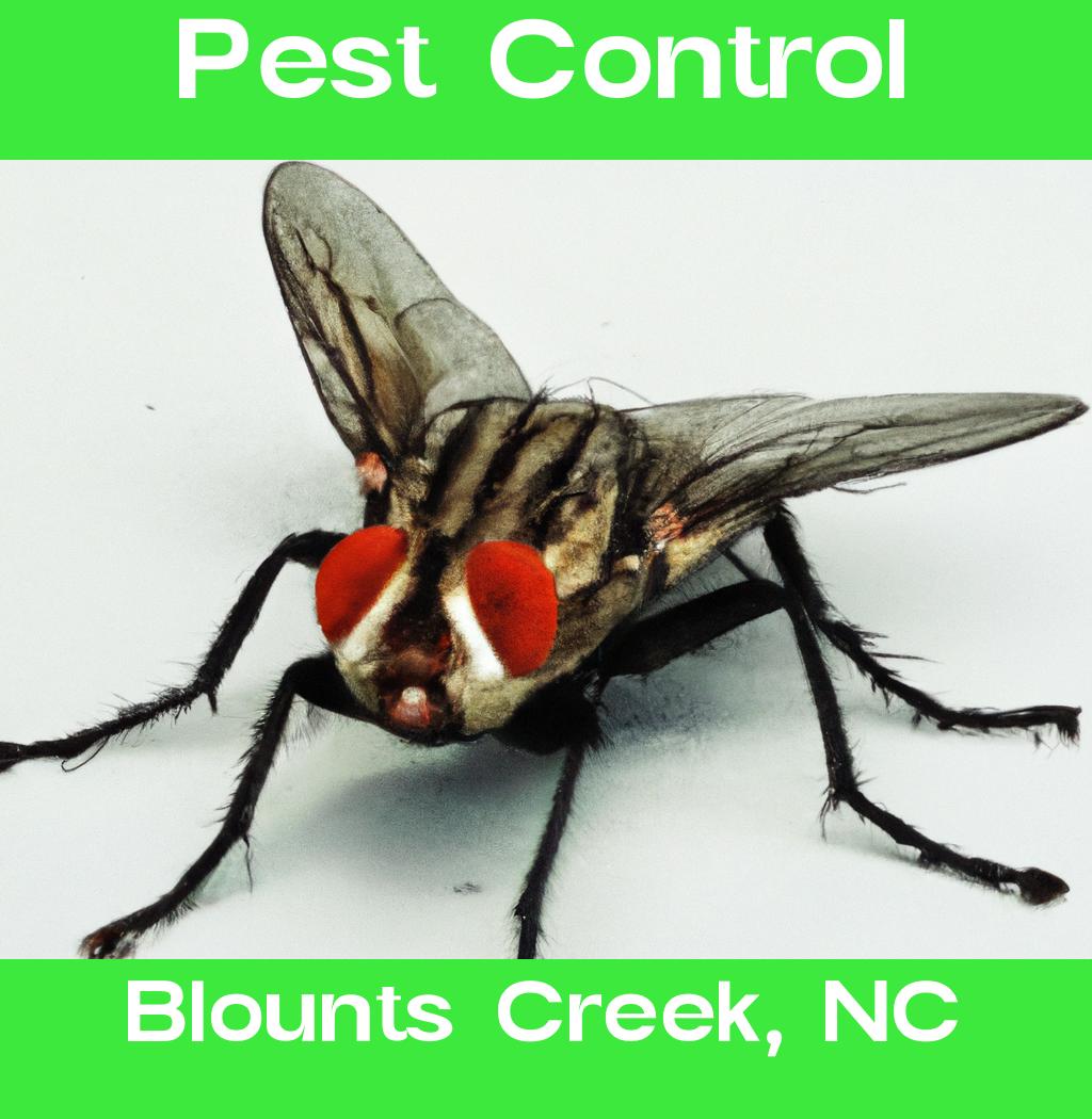 pest control in Blounts Creek North Carolina
