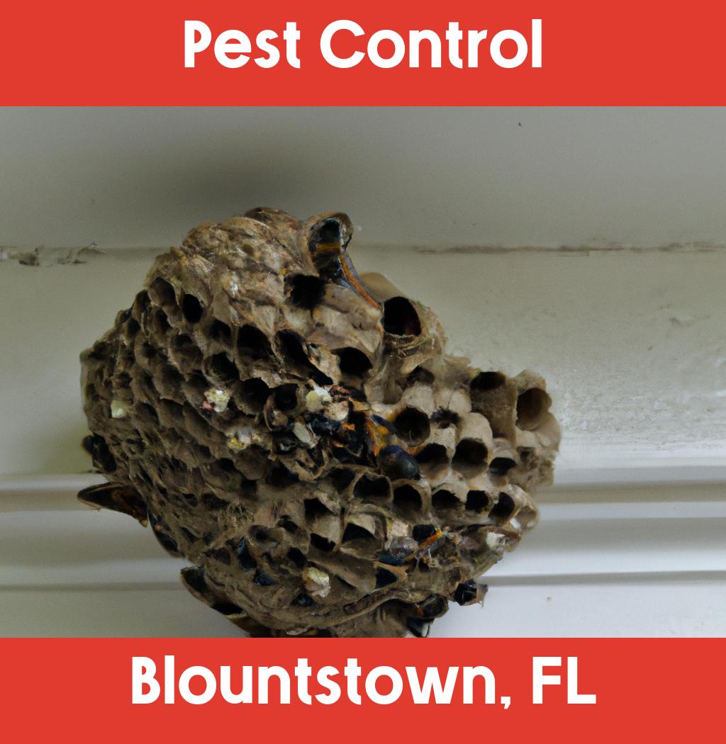 pest control in Blountstown Florida