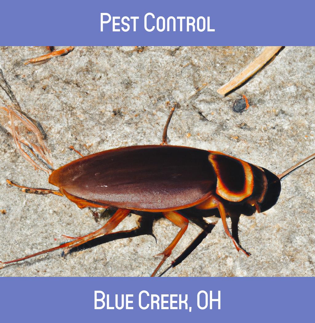 pest control in Blue Creek Ohio