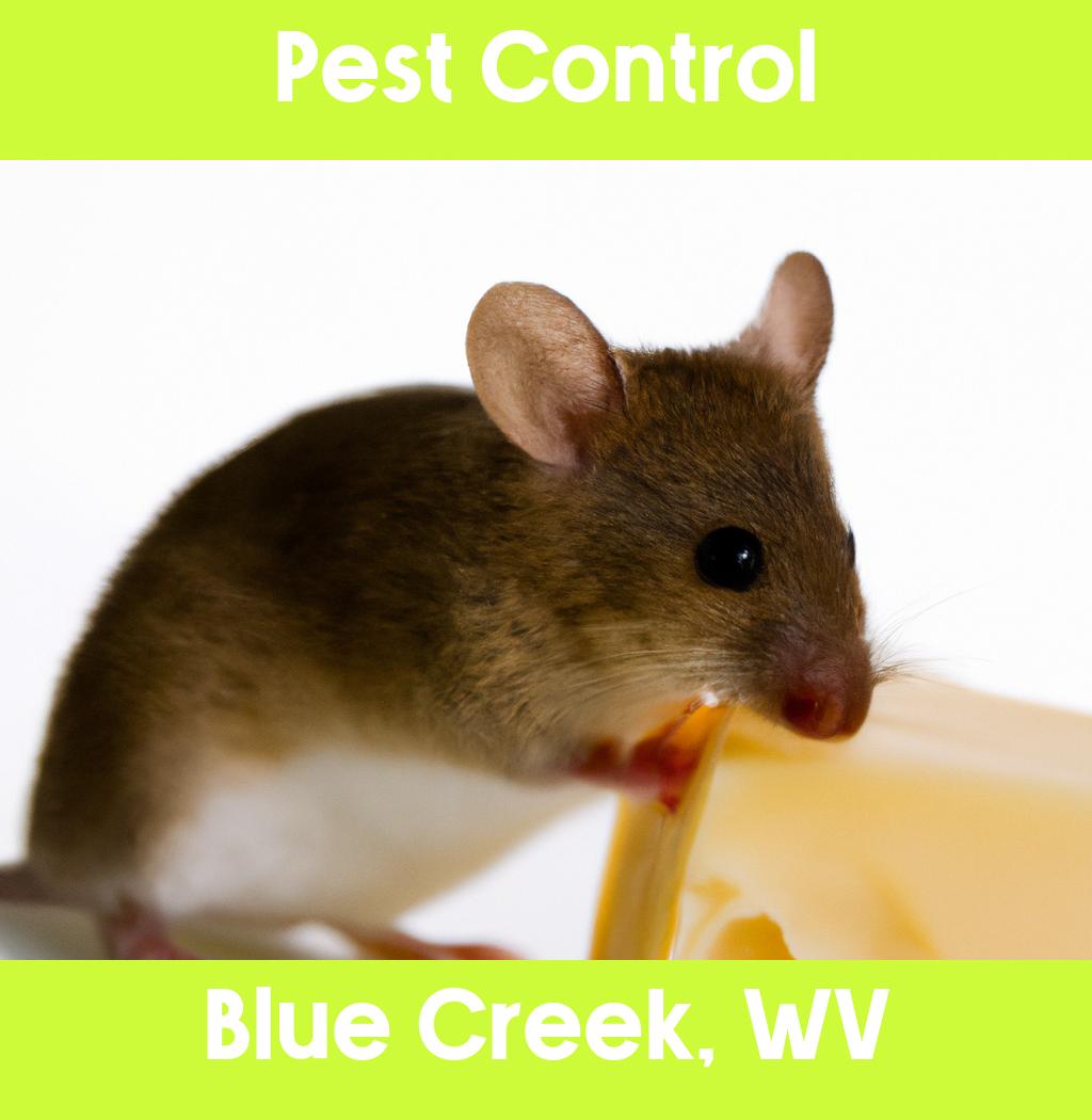 pest control in Blue Creek West Virginia