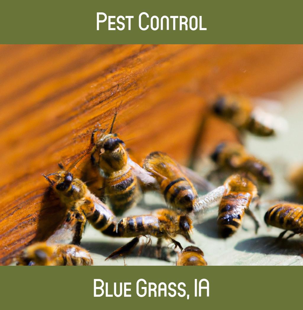 pest control in Blue Grass Iowa