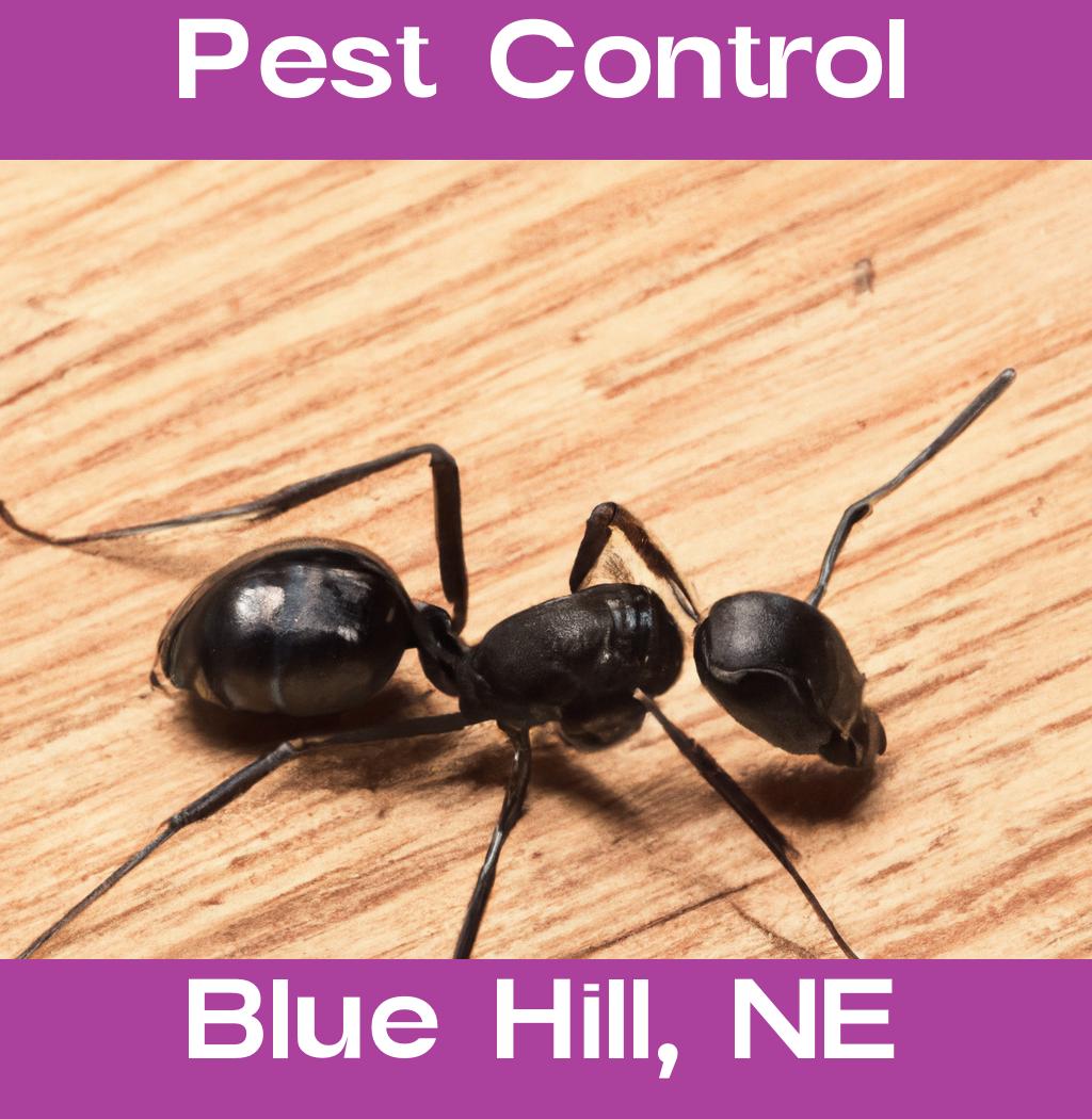 pest control in Blue Hill Nebraska