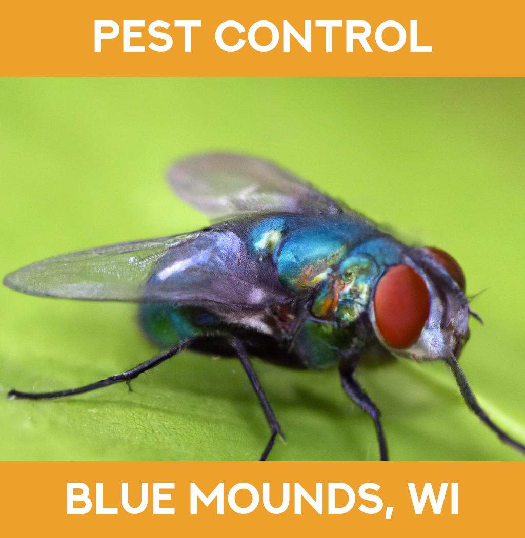 pest control in Blue Mounds Wisconsin