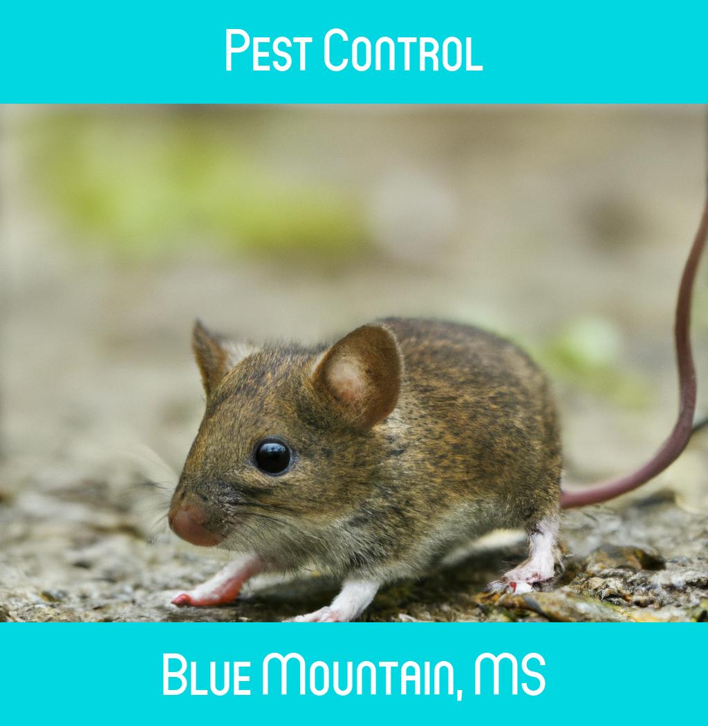 pest control in Blue Mountain Mississippi