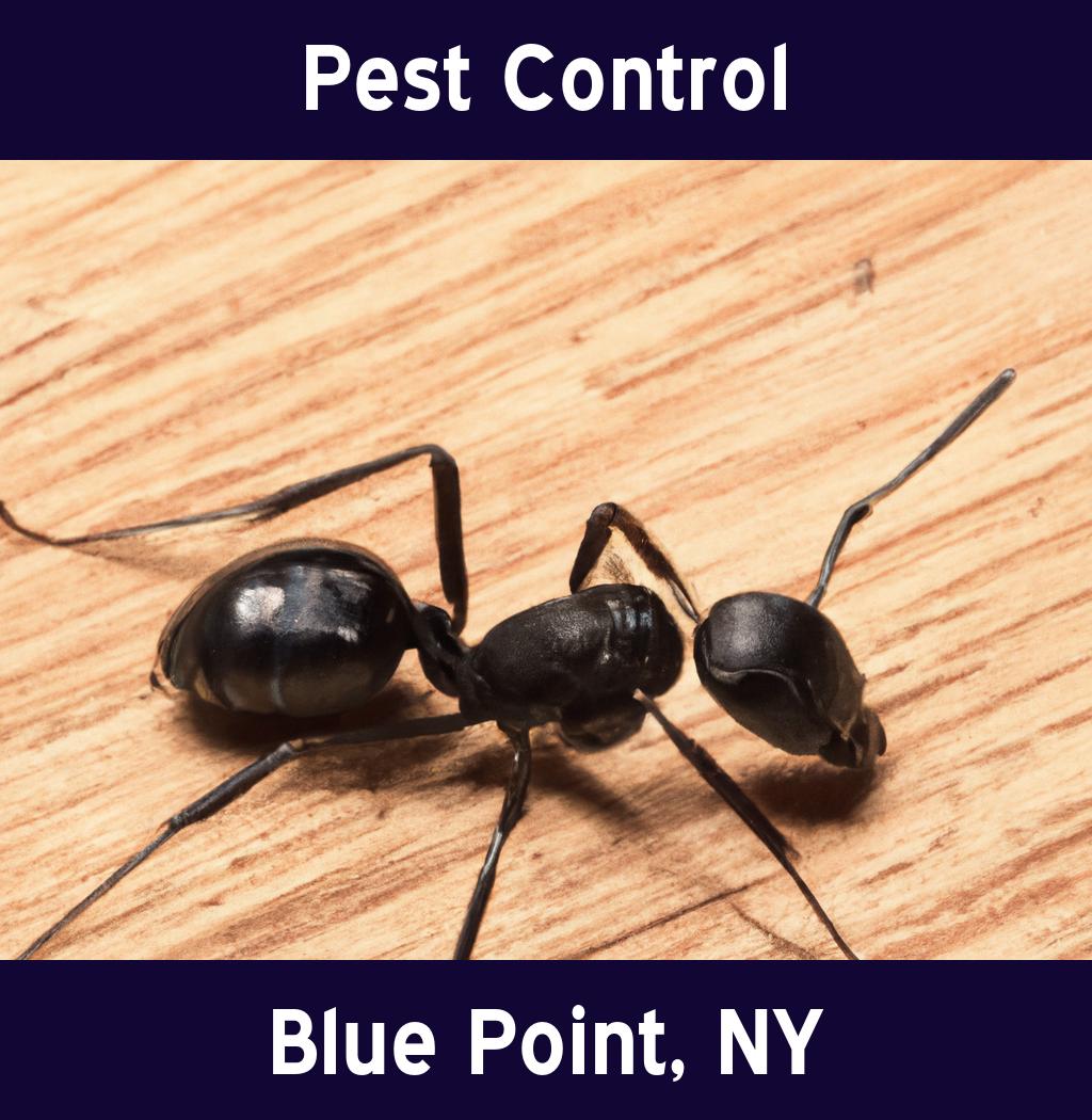 pest control in Blue Point New York