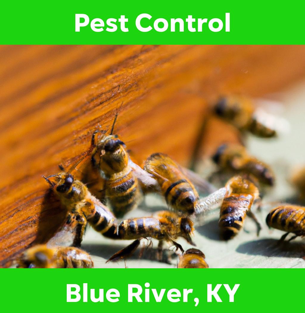 pest control in Blue River Kentucky