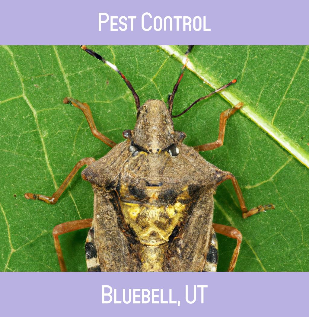pest control in Bluebell Utah