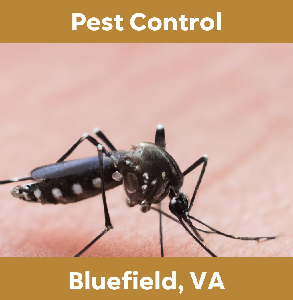 pest control in Bluefield Virginia