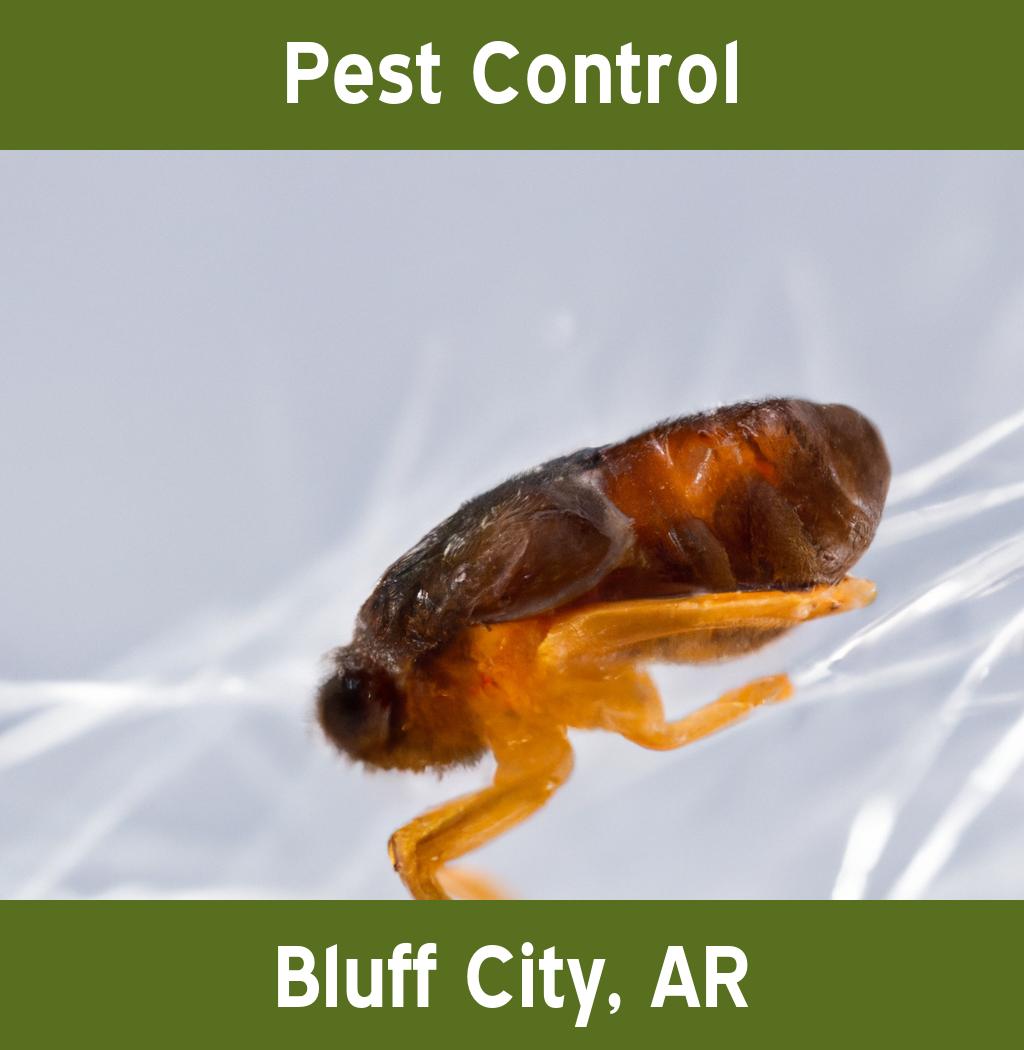 pest control in Bluff City Arkansas
