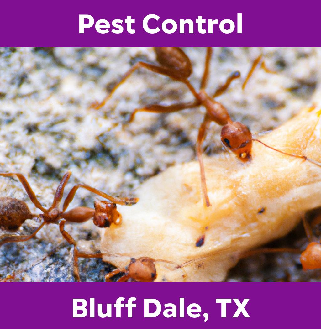 pest control in Bluff Dale Texas
