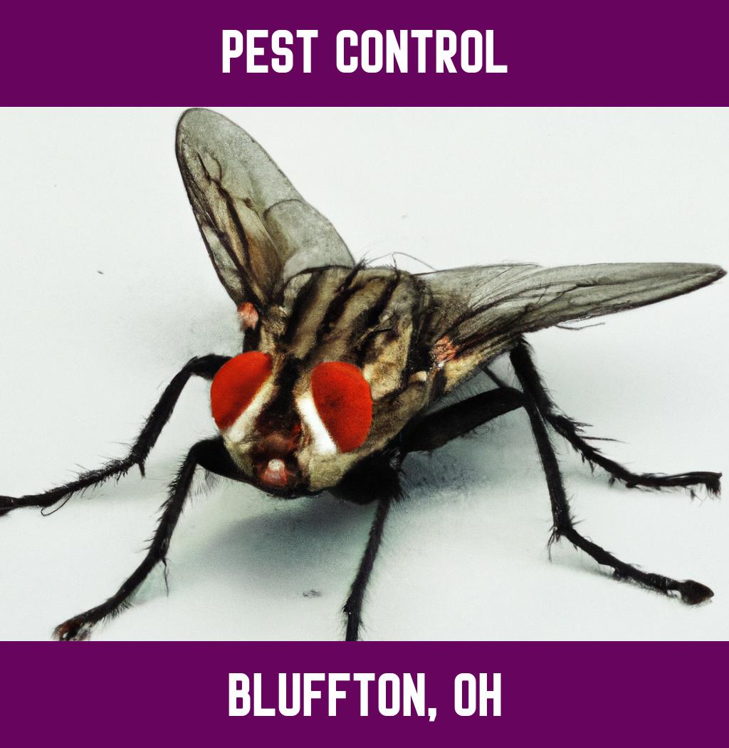 pest control in Bluffton Ohio