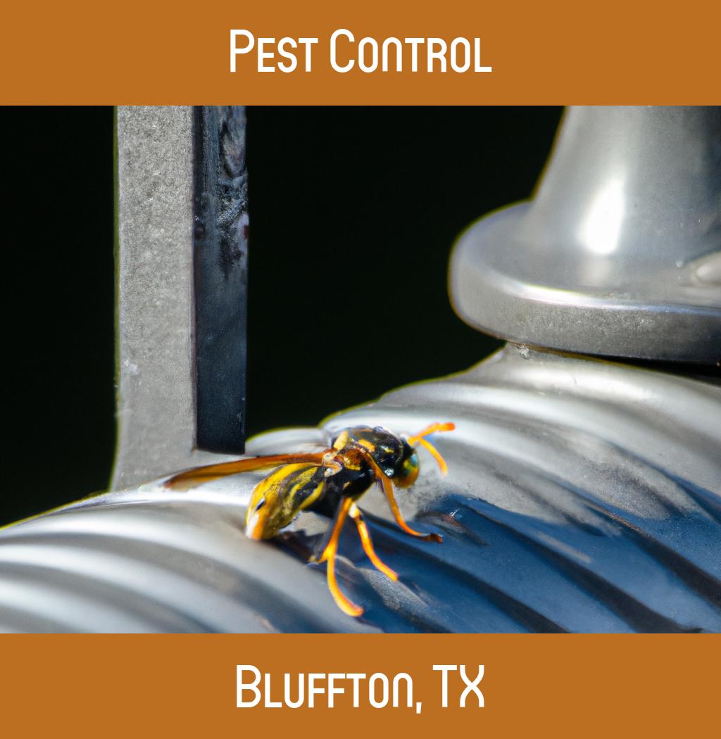 pest control in Bluffton Texas