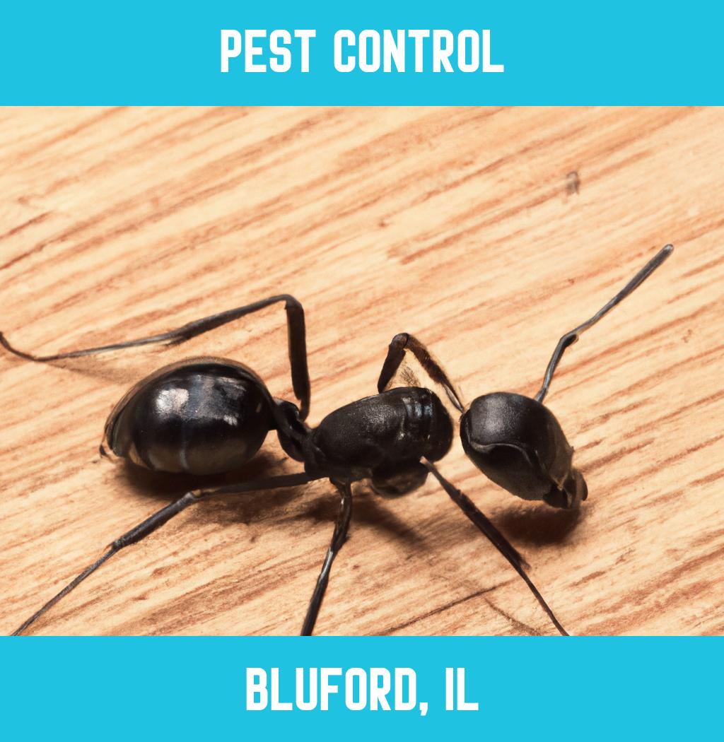 pest control in Bluford Illinois