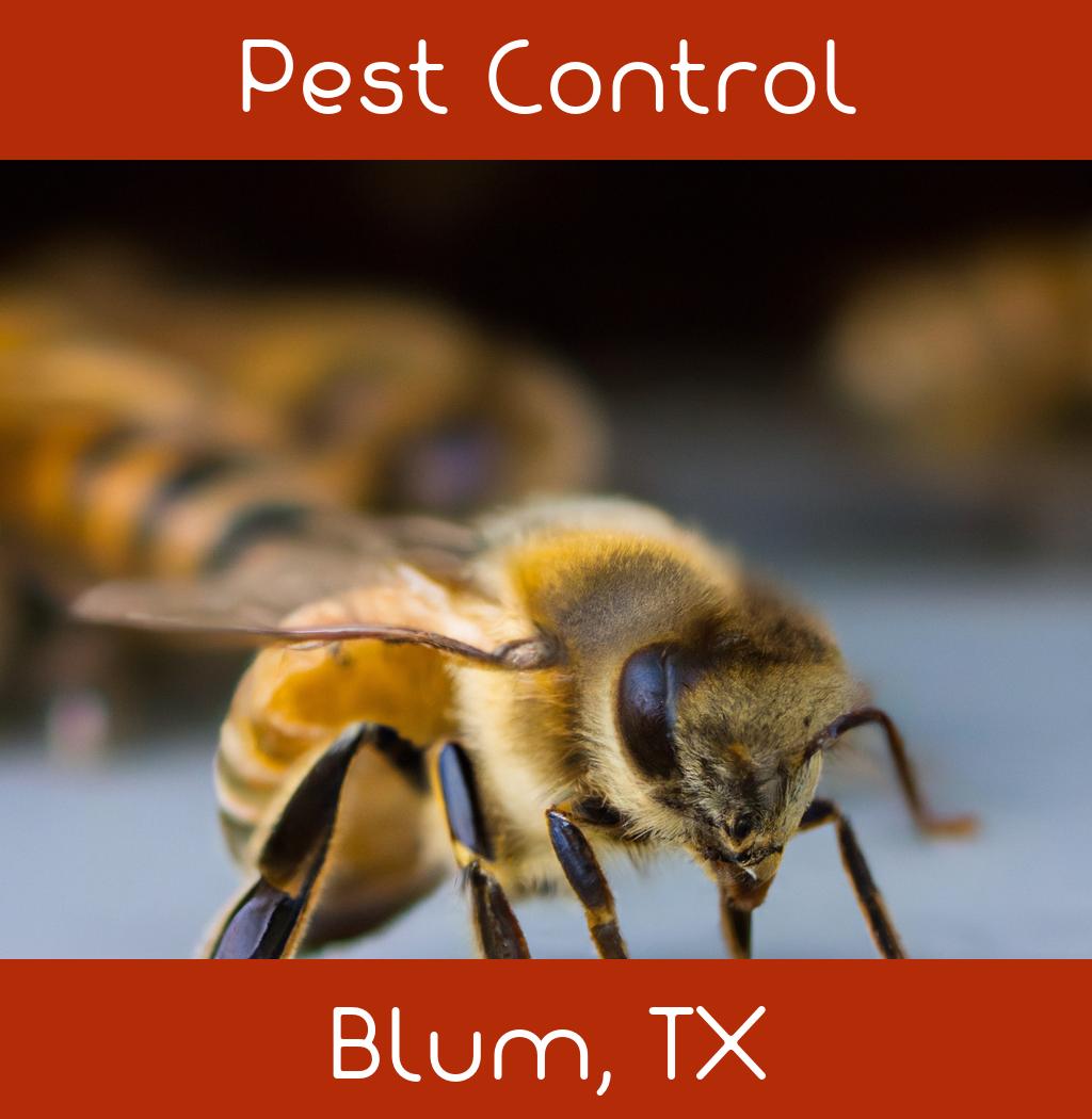 pest control in Blum Texas