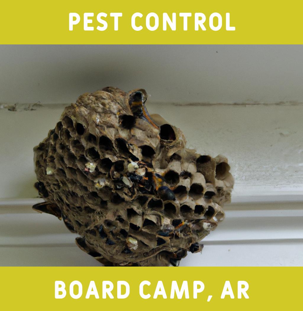 pest control in Board Camp Arkansas