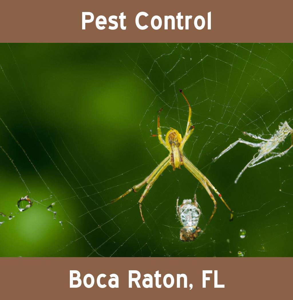 pest control in Boca Raton Florida