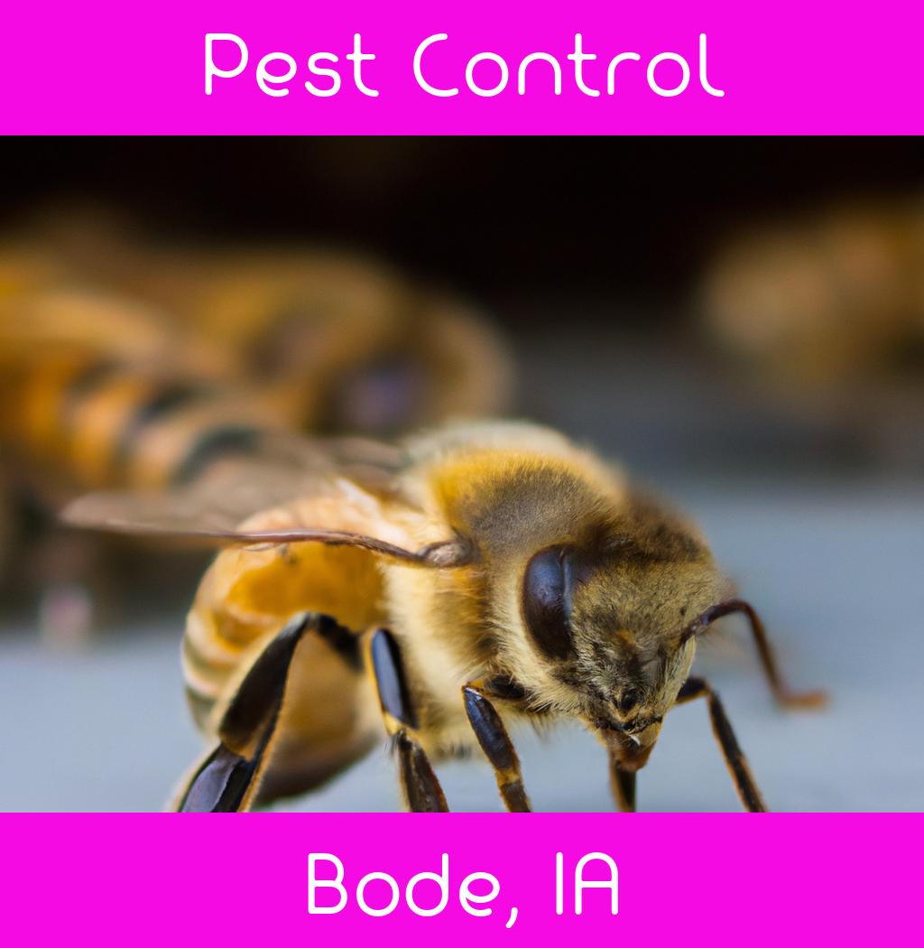 pest control in Bode Iowa