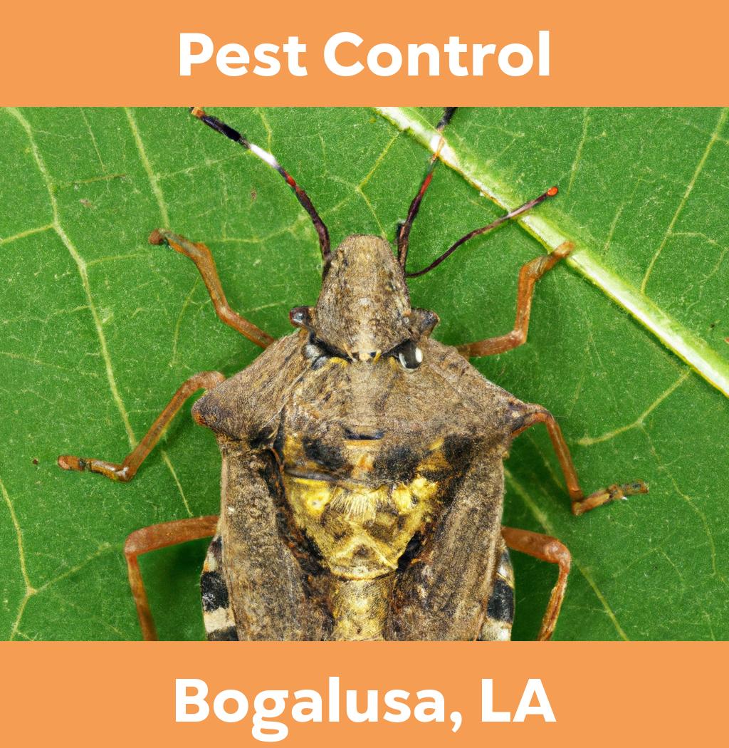 pest control in Bogalusa Louisiana