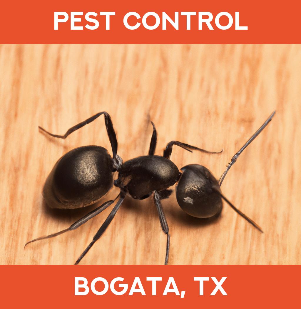 pest control in Bogata Texas