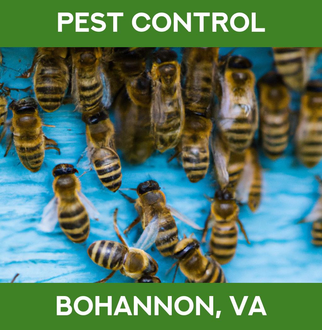 pest control in Bohannon Virginia