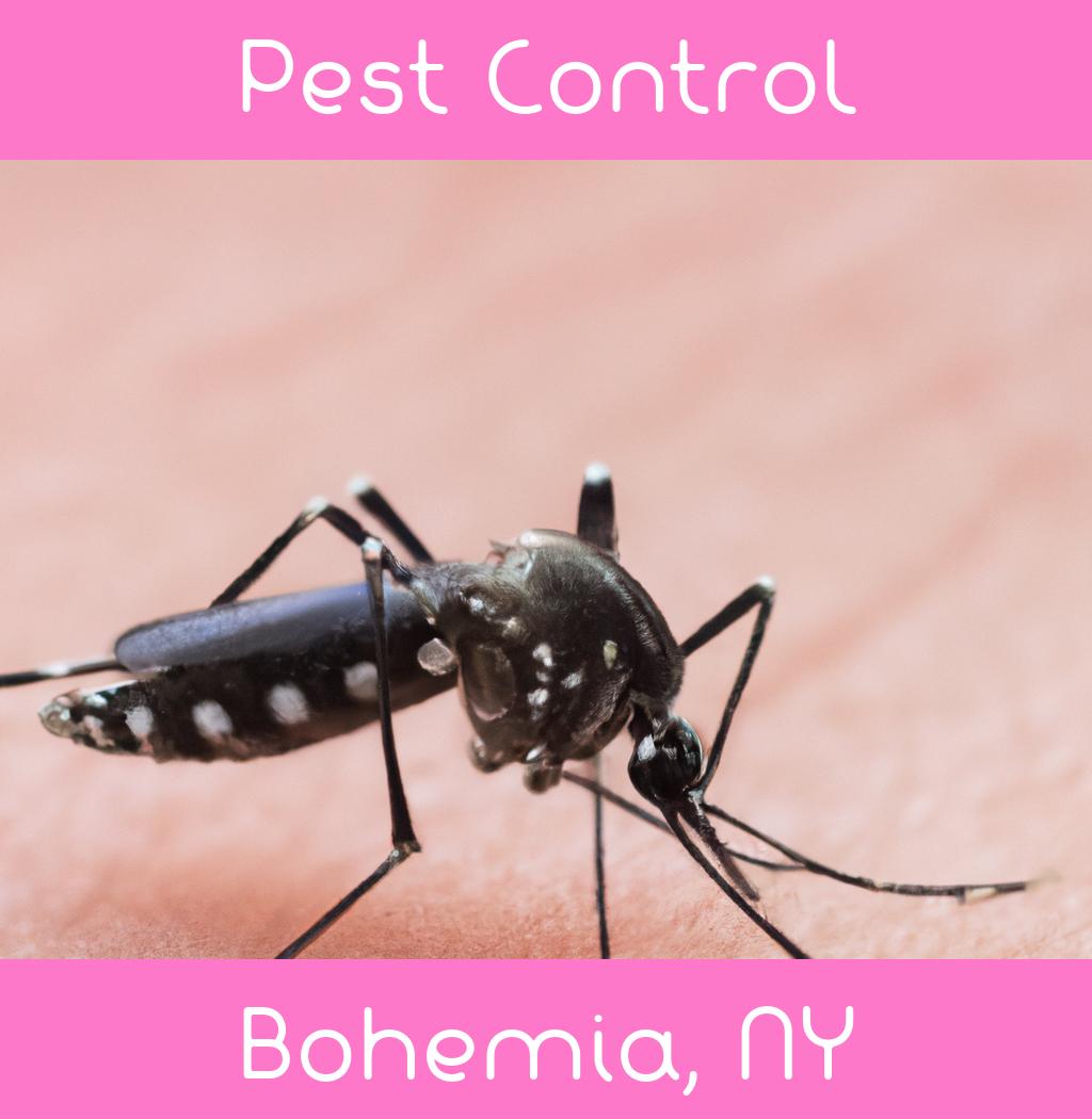 pest control in Bohemia New York