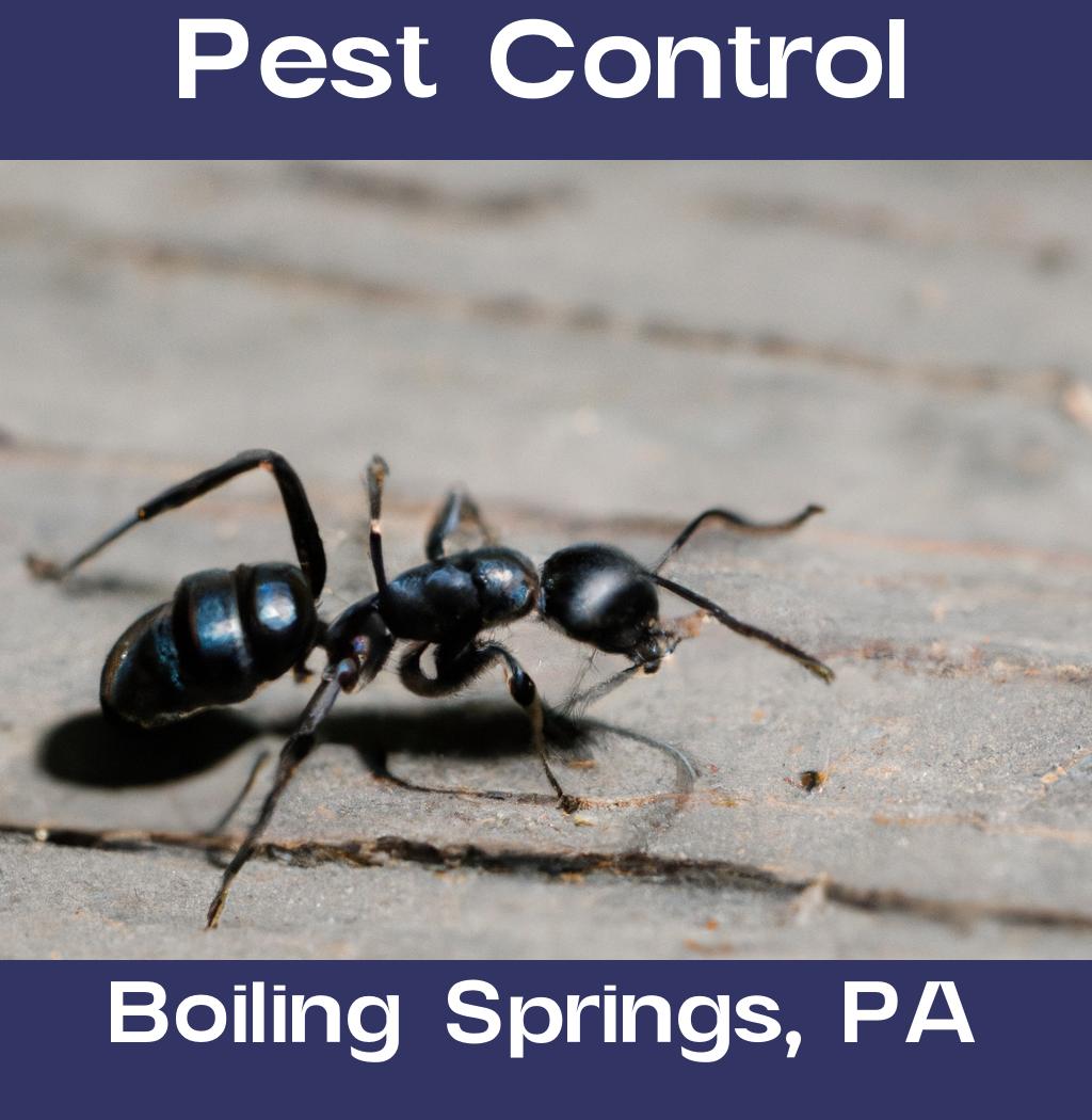 pest control in Boiling Springs Pennsylvania