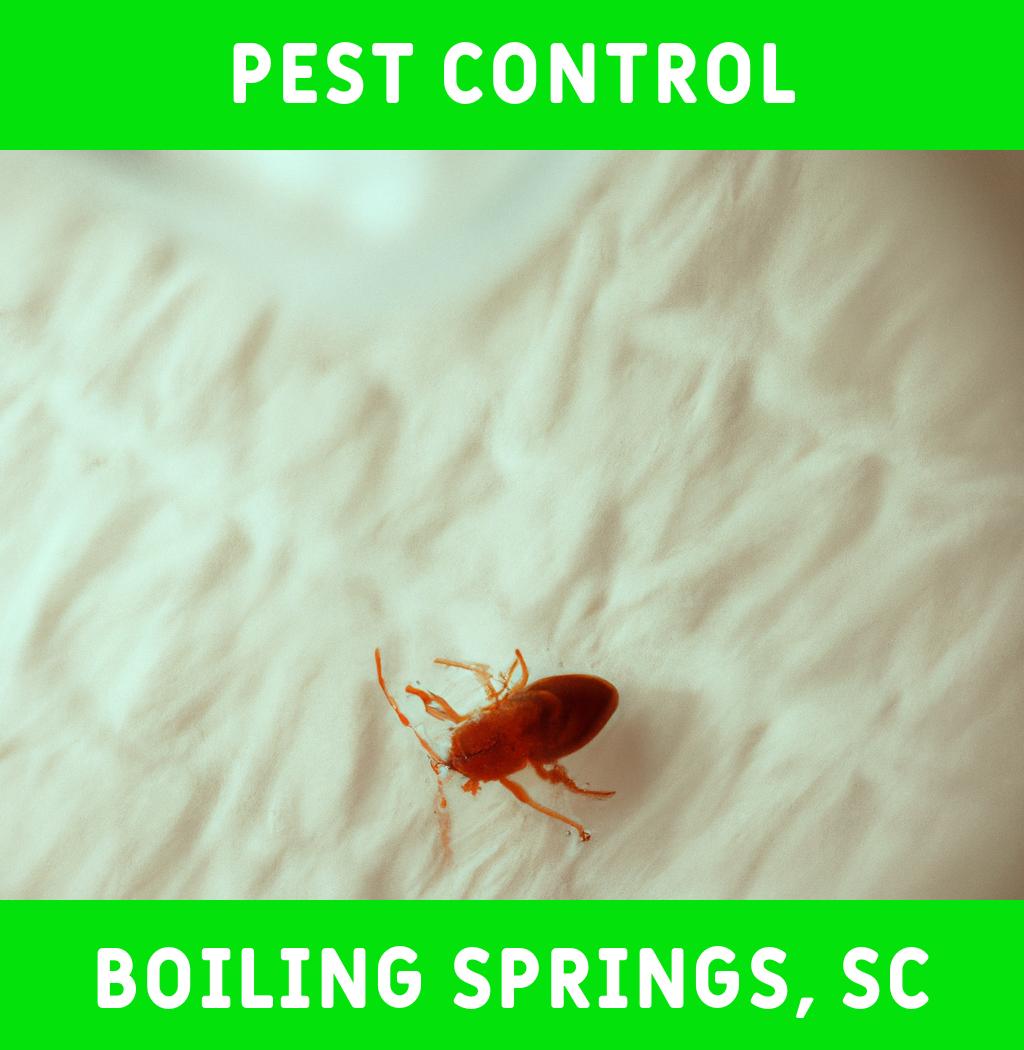 pest control in Boiling Springs South Carolina