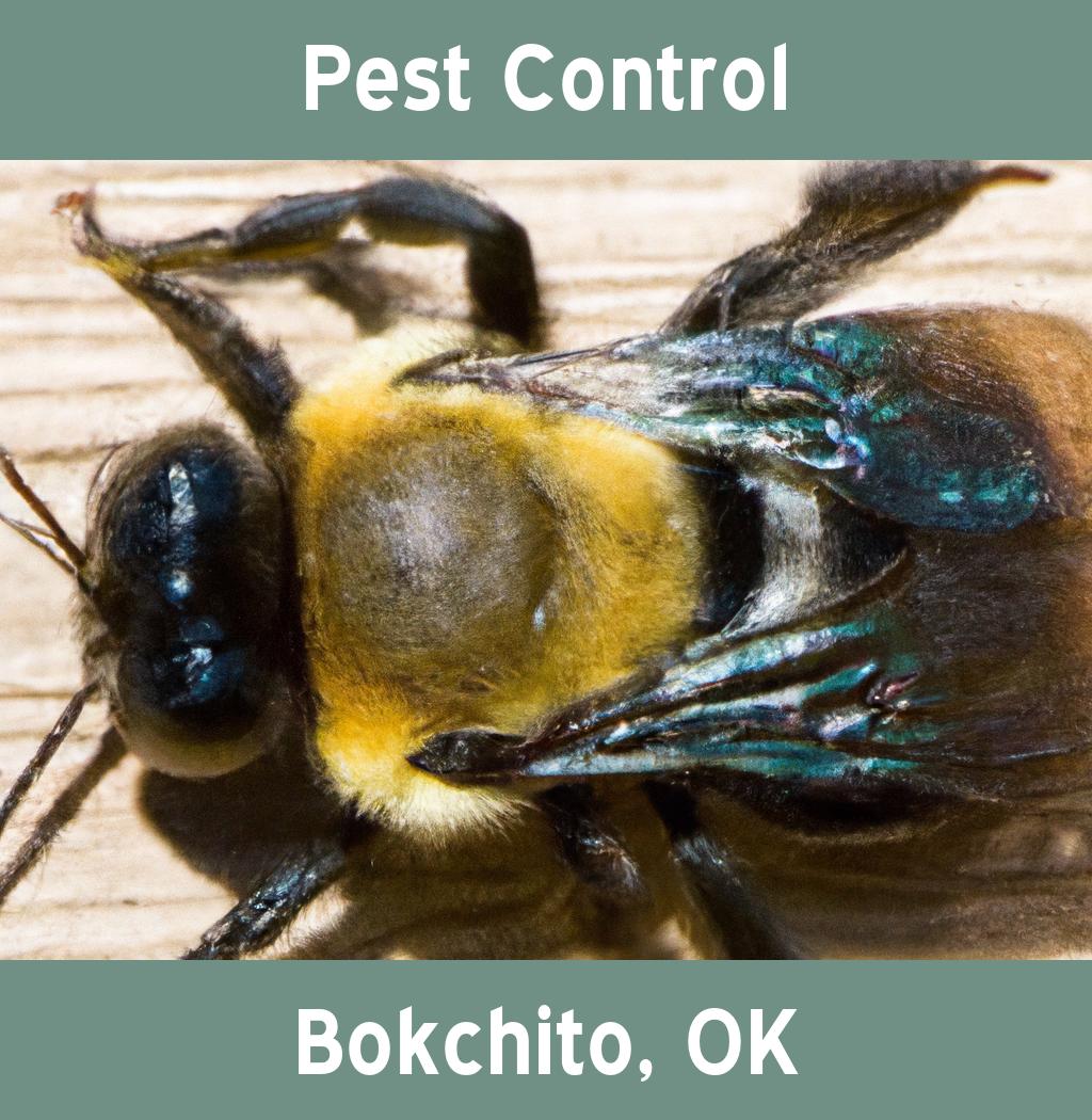 pest control in Bokchito Oklahoma