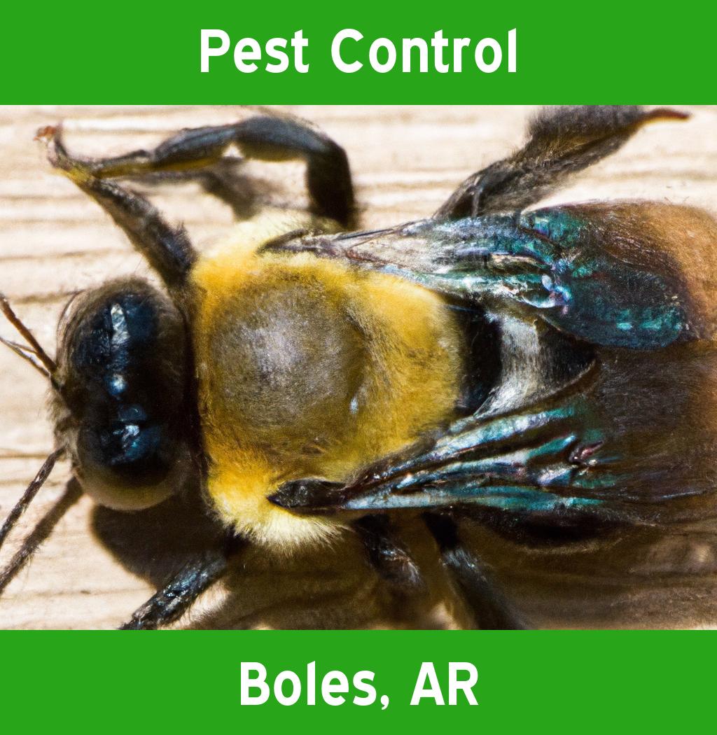 pest control in Boles Arkansas