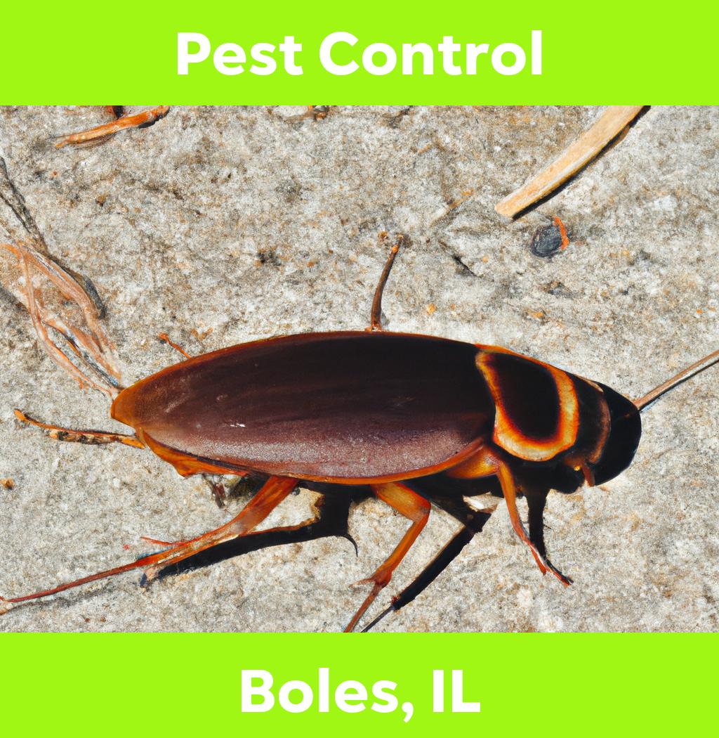 pest control in Boles Illinois