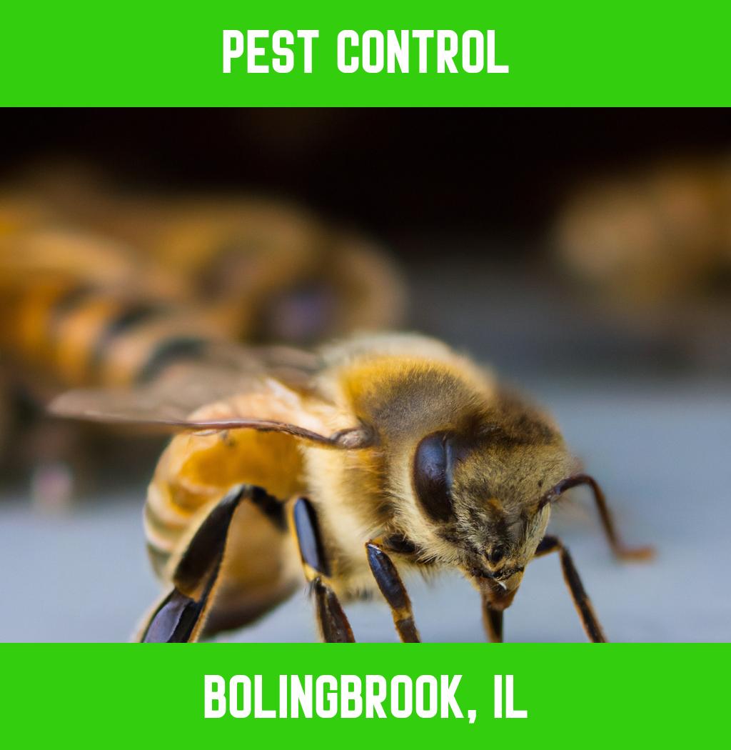 pest control in Bolingbrook Illinois