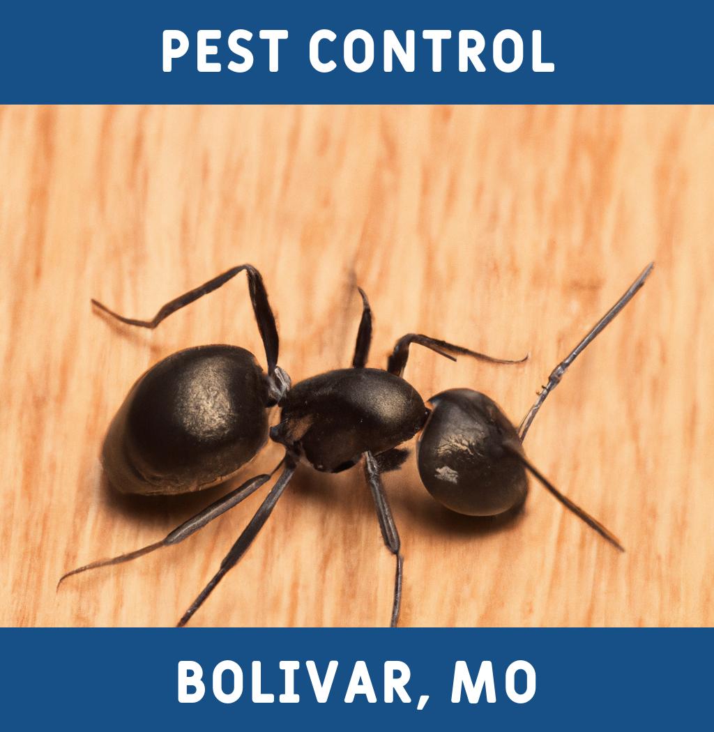 pest control in Bolivar Missouri