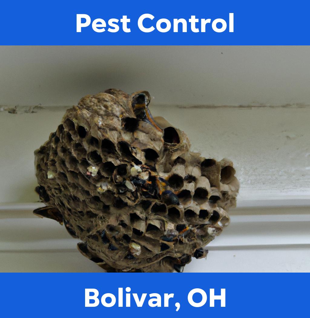 pest control in Bolivar Ohio