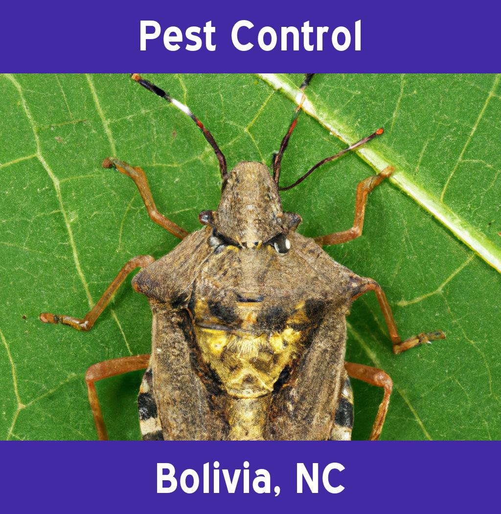 pest control in Bolivia North Carolina