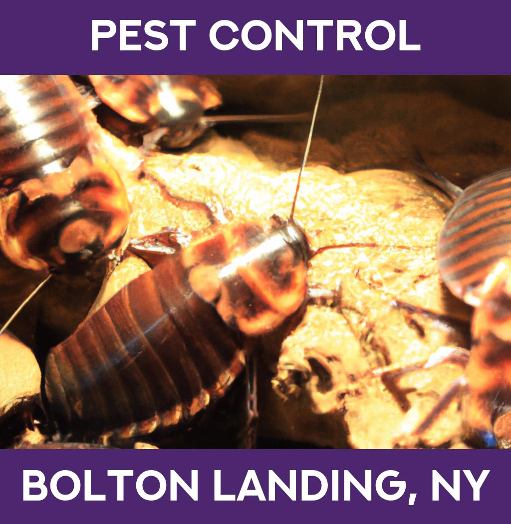 pest control in Bolton Landing New York