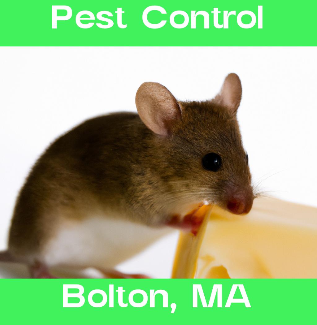 pest control in Bolton Massachusetts