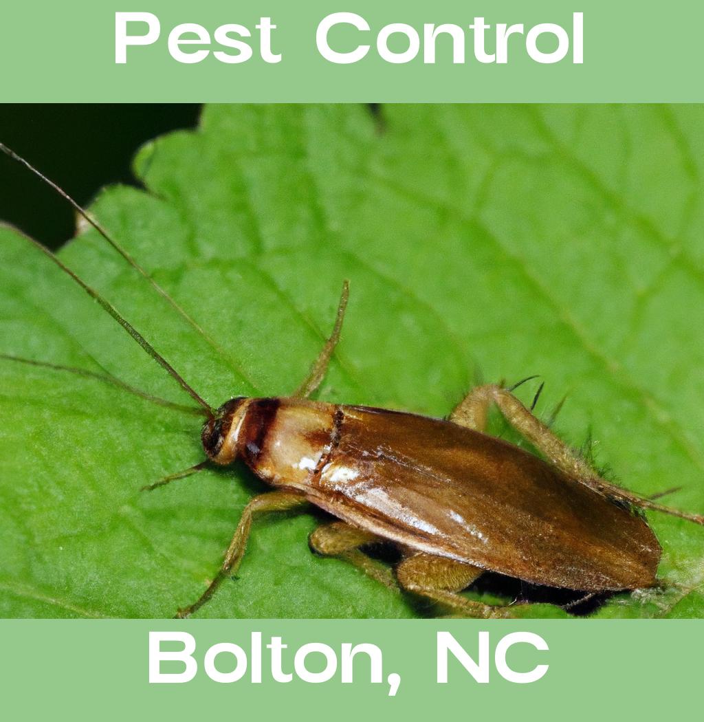 pest control in Bolton North Carolina