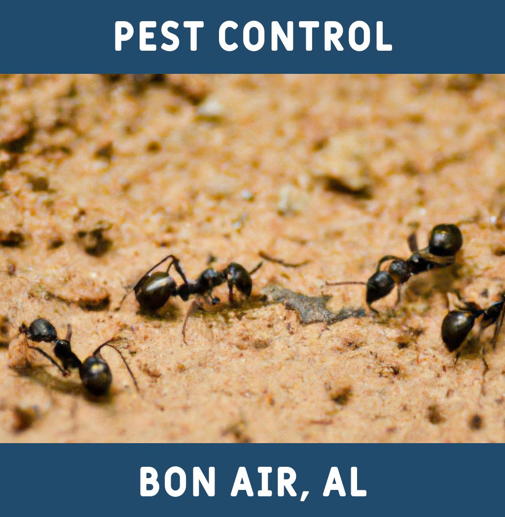 pest control in Bon Air Alabama