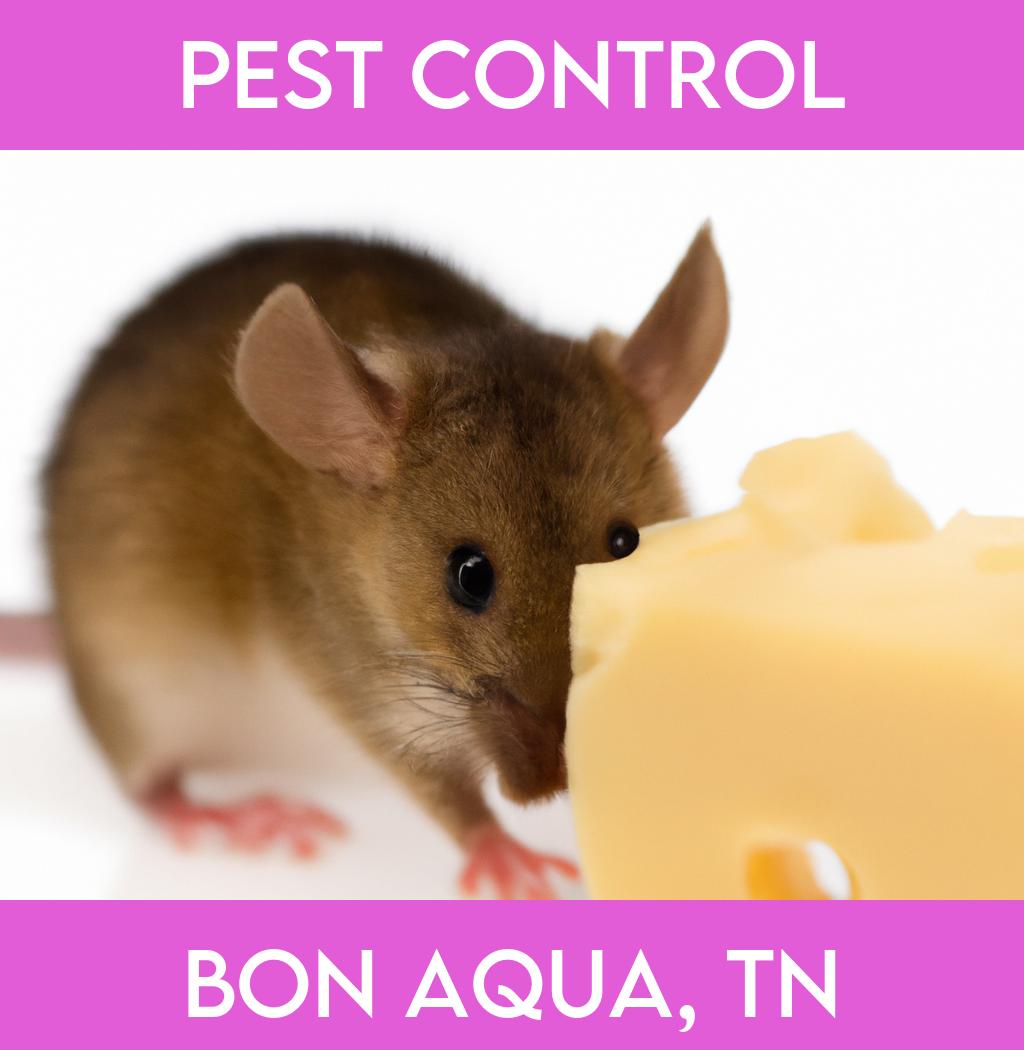 pest control in Bon Aqua Tennessee