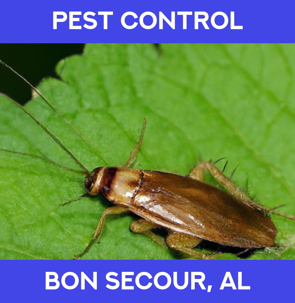 pest control in Bon Secour Alabama