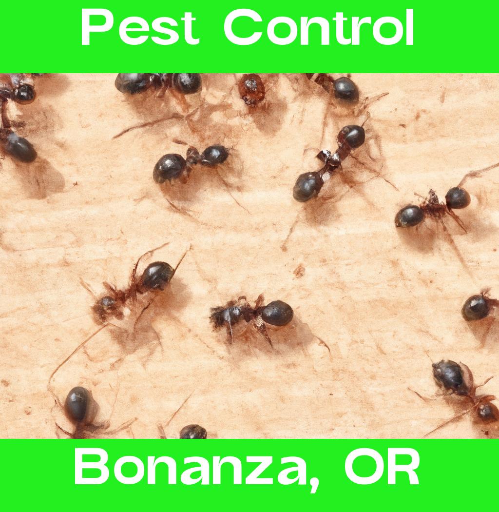 pest control in Bonanza Oregon