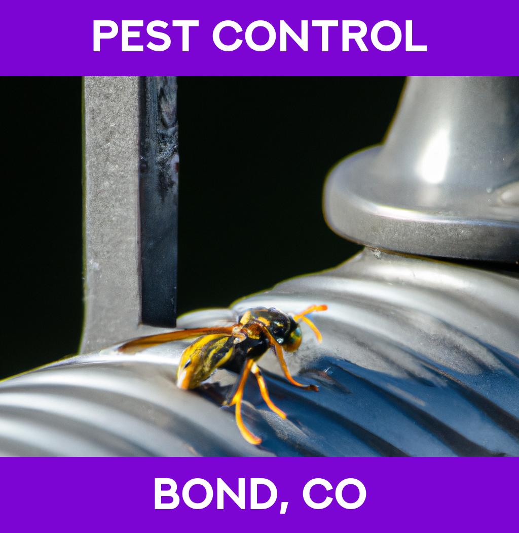 pest control in Bond Colorado