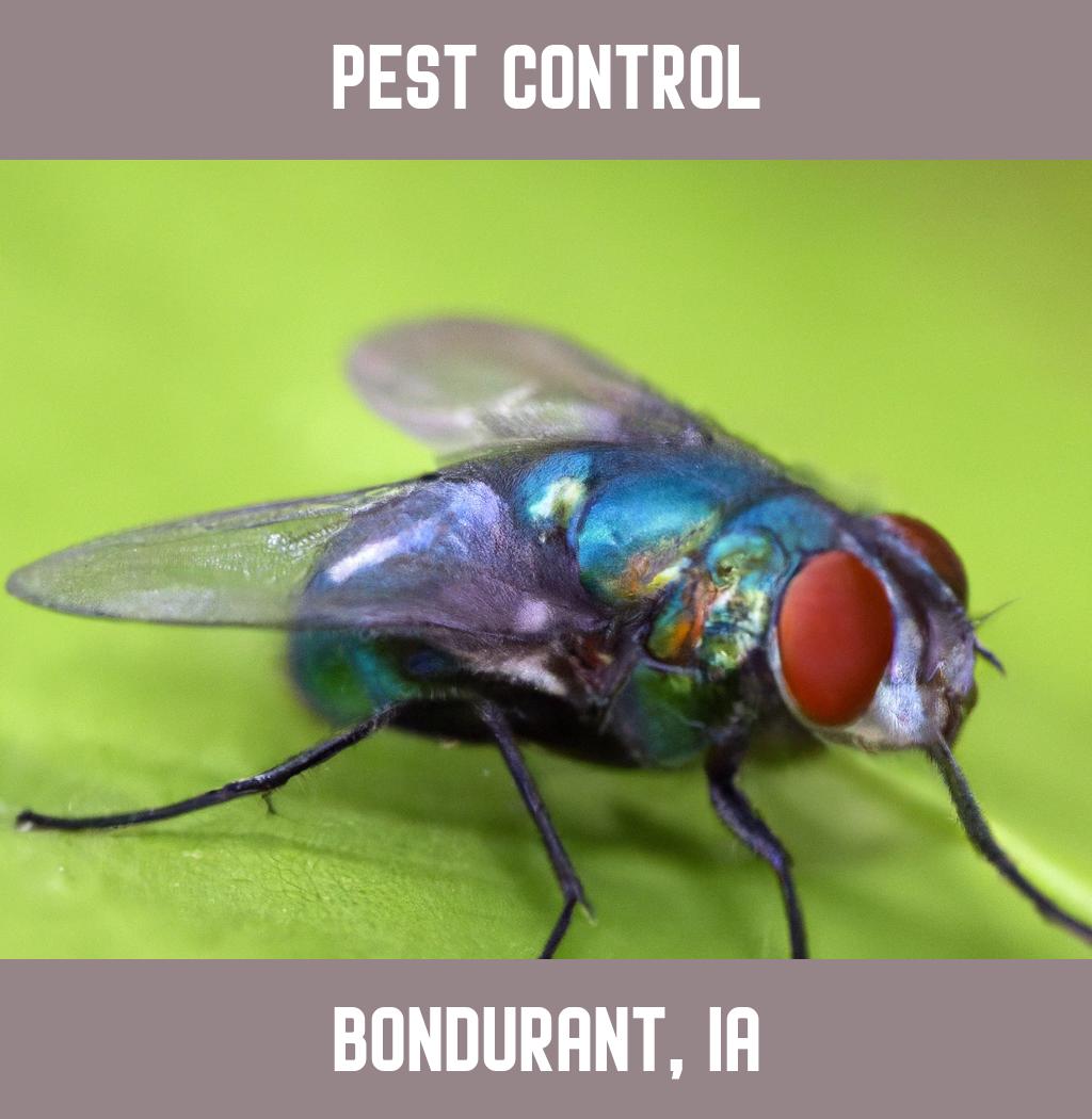 pest control in Bondurant Iowa