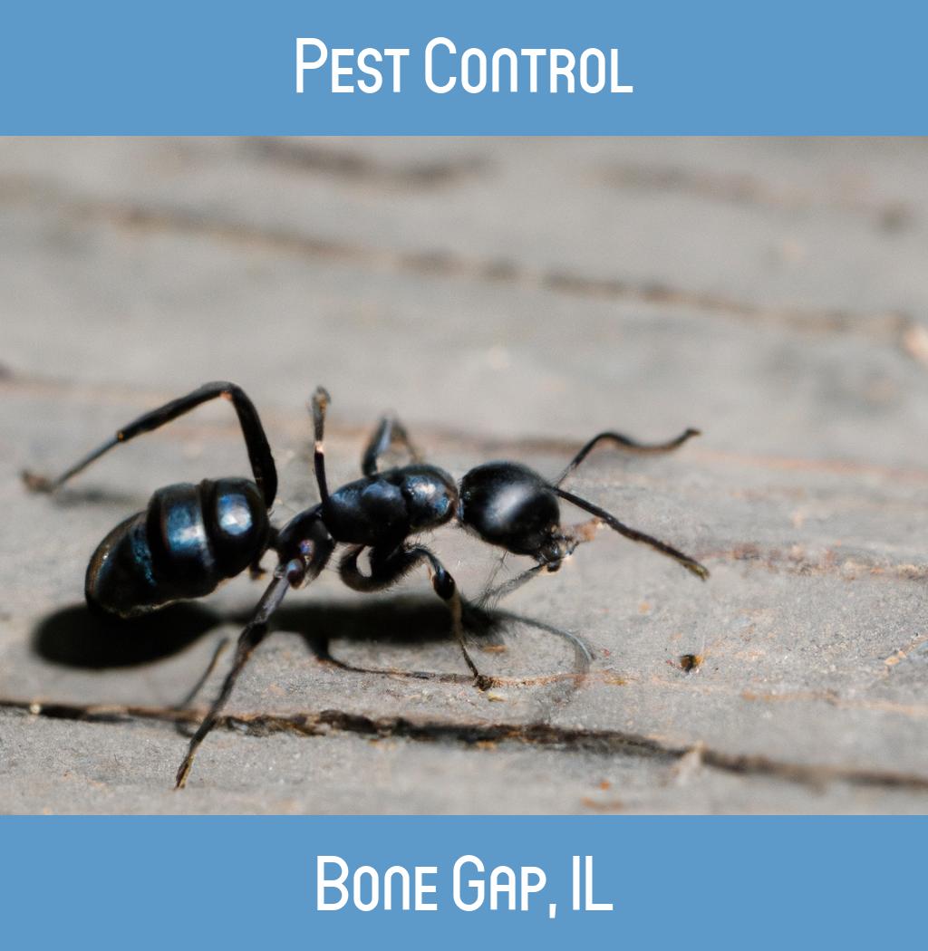 pest control in Bone Gap Illinois