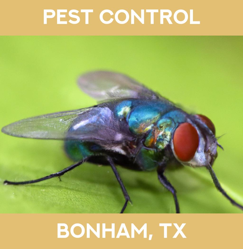 pest control in Bonham Texas