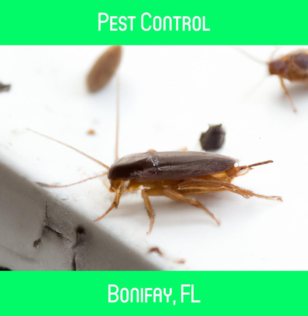 pest control in Bonifay Florida