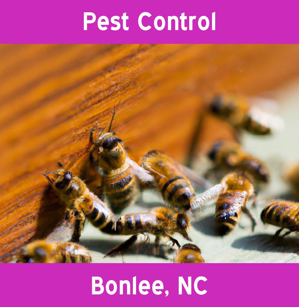 pest control in Bonlee North Carolina